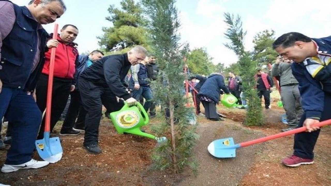 Vali Davut Gül Fidan Dikti