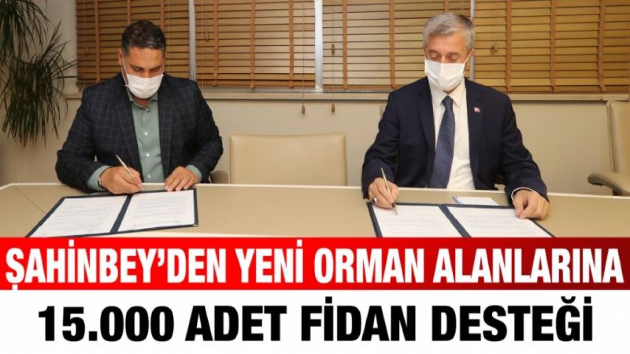 ŞAHİNBEY BELEDİYESİ’NDEN YENİ ORMAN ALANLARINA 15.000 ADET FİDAN DESTEĞİ