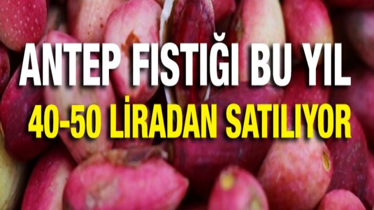 Antep fıstığı cep yakıyor