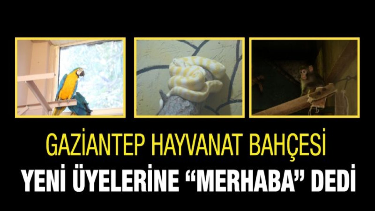 GAZİANTEP HAYVANAT BAHÇESİ YENİ ÜYELERİNE “MERHABA” DEDİ