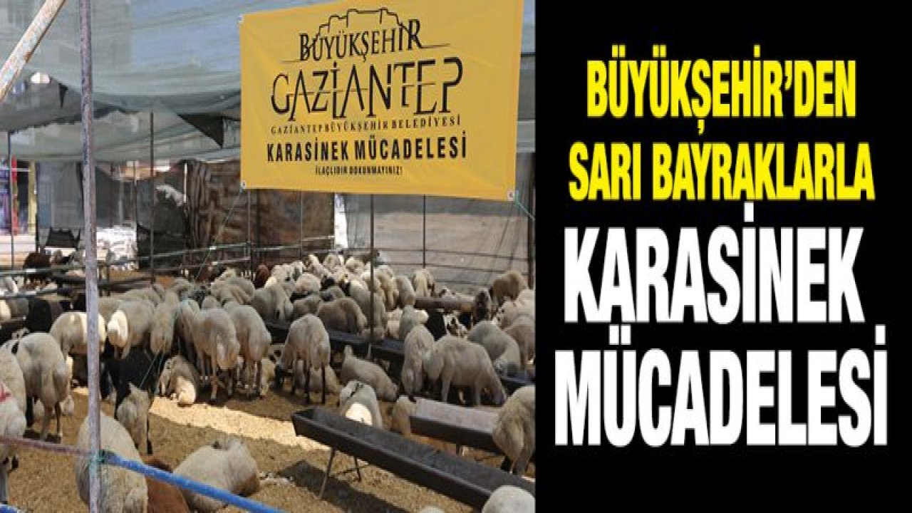 KURBAN KESİM VE SATIŞ YERLERİ MERCEK ALTINDA