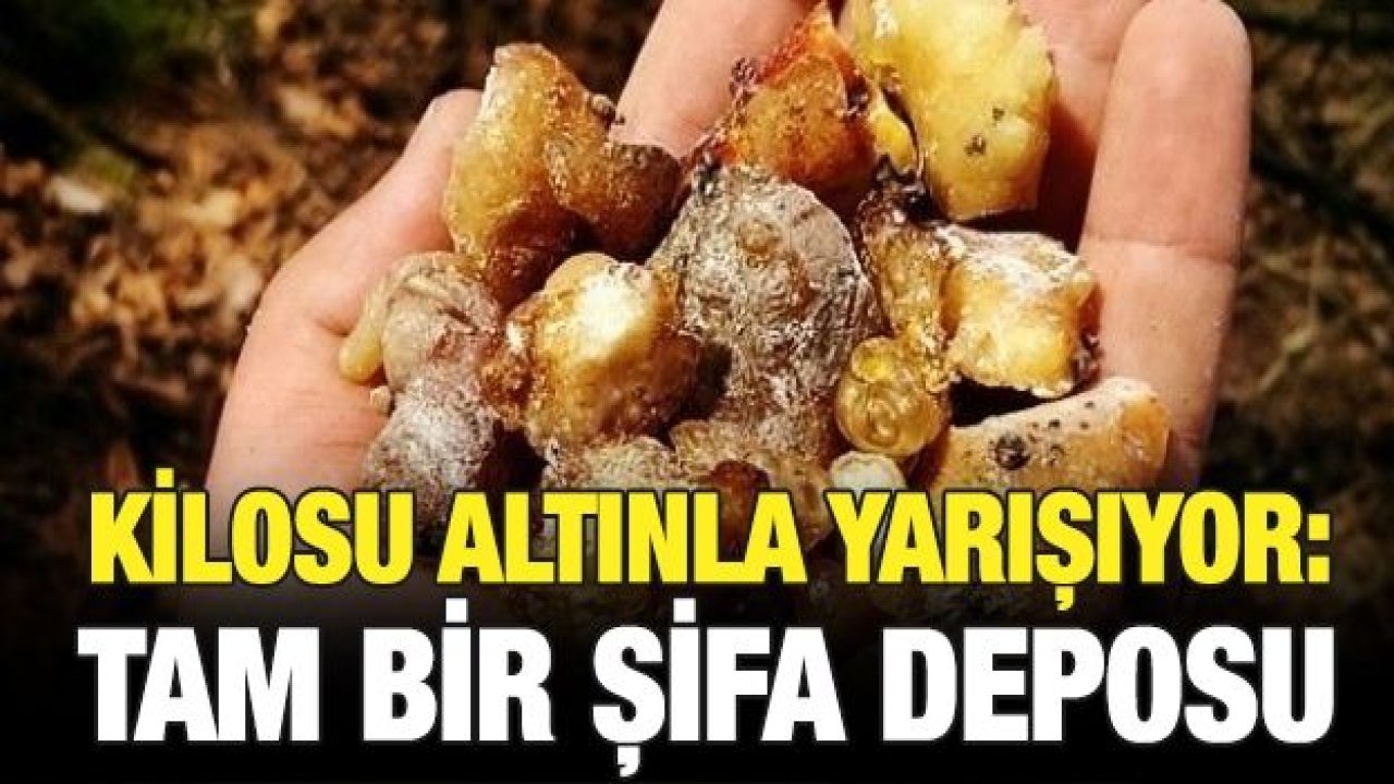 Kilosu altınla yarışıyor: Tam bir şifa deposu