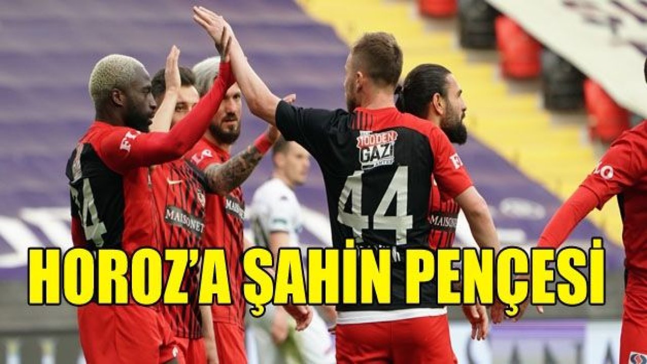 HOROZ’A ŞAHİN PENÇESİ