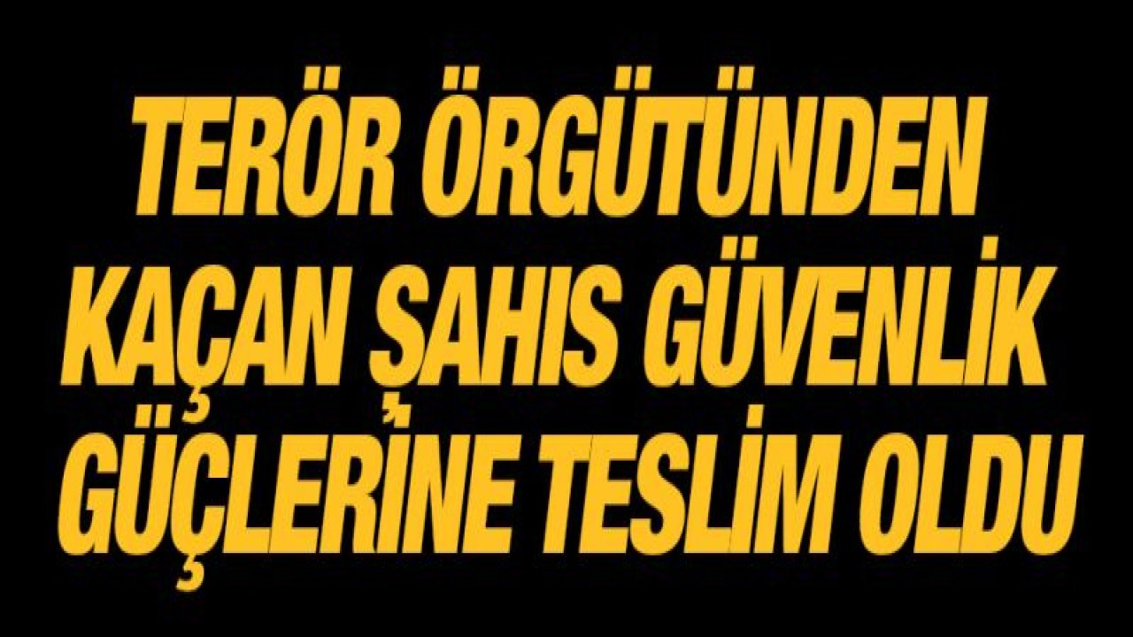 Terör örgütünden kaçan şahıs güvenlik güçlerine teslim oldu