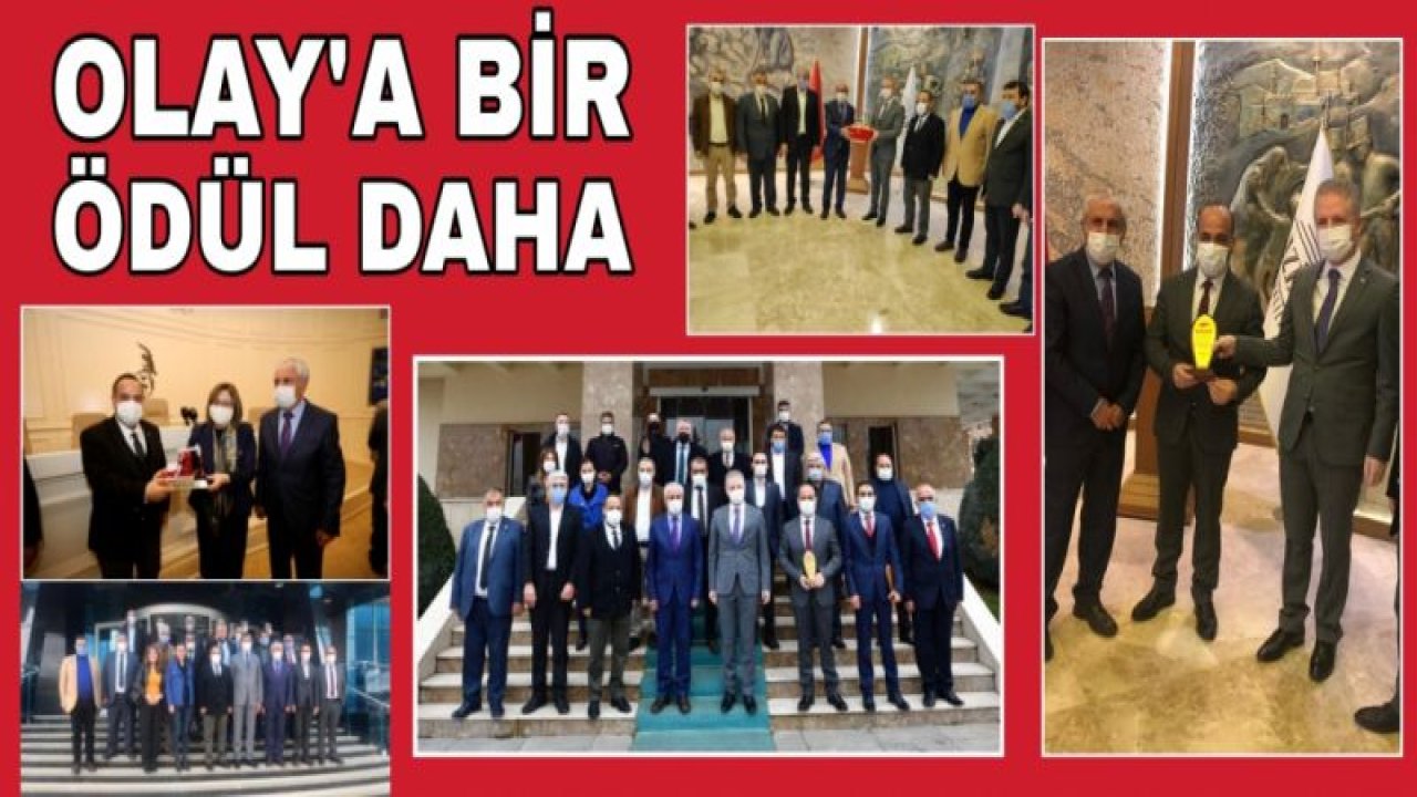 GGF'DEN OLAY MEDYA'YA BİR ÖDÜL DAHA