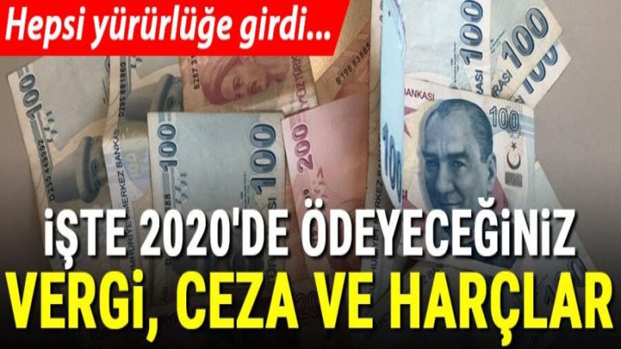 İşte 2020 yılında ödeyeceğiniz vergi, harç ve cezalar