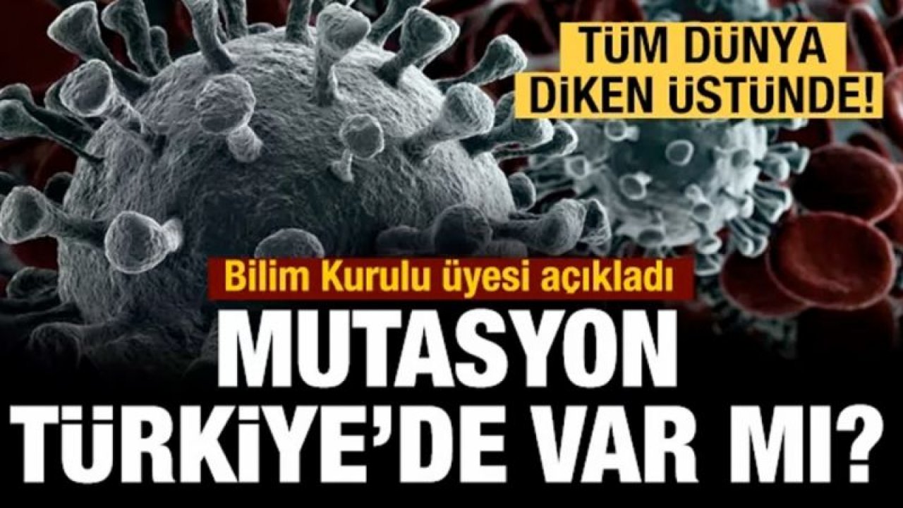 Koronavirüste mutasyon korkusu... Türkiye'de rastlandı mı?