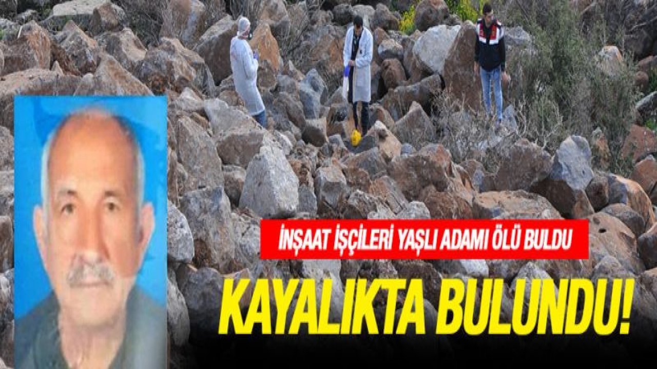 Çobanlık yapan yaşlı adam ölü bulundu