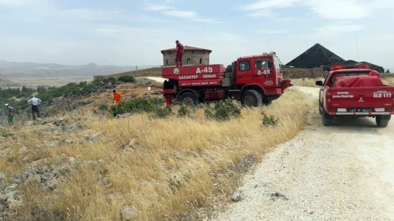 Nurdağı'nda orman yangını