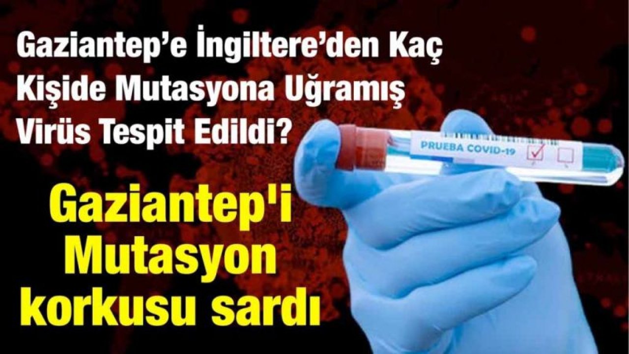 Son Dakika...Gaziantep'te Mutasyona Uğramış Virüs Alarmı..Vali Gül Uyardı...Gaziantep’e İngiltereden Gelen Kaç Kişide Mutasyona Uğramış Virüs Tespit Edildi?  Gaziantep'i Mutasyon korkusu sardı