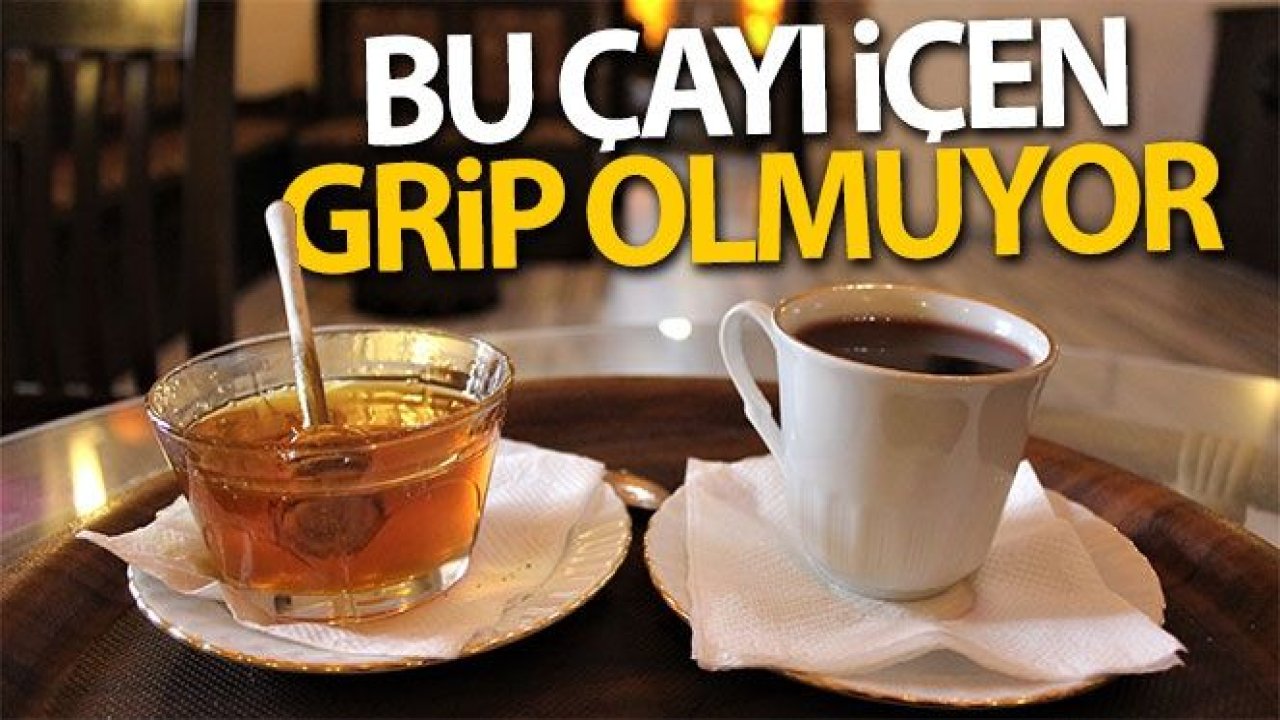 Bu çayı içen grip olmuyor