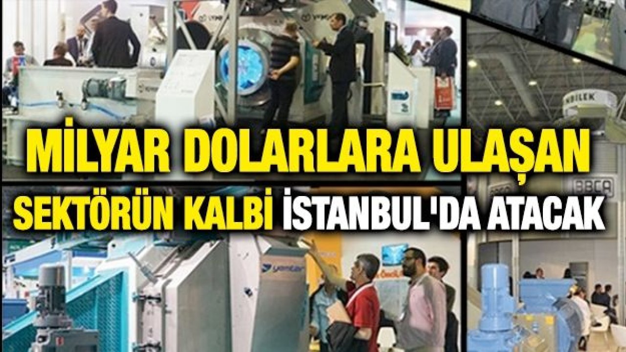 Milyar dolarlara ulaşan sektörün kalbi İstanbul'da atacak