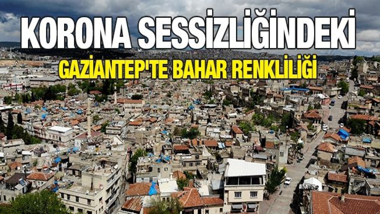 Korona sessizliğindeki Gaziantep'te bahar renkliliği