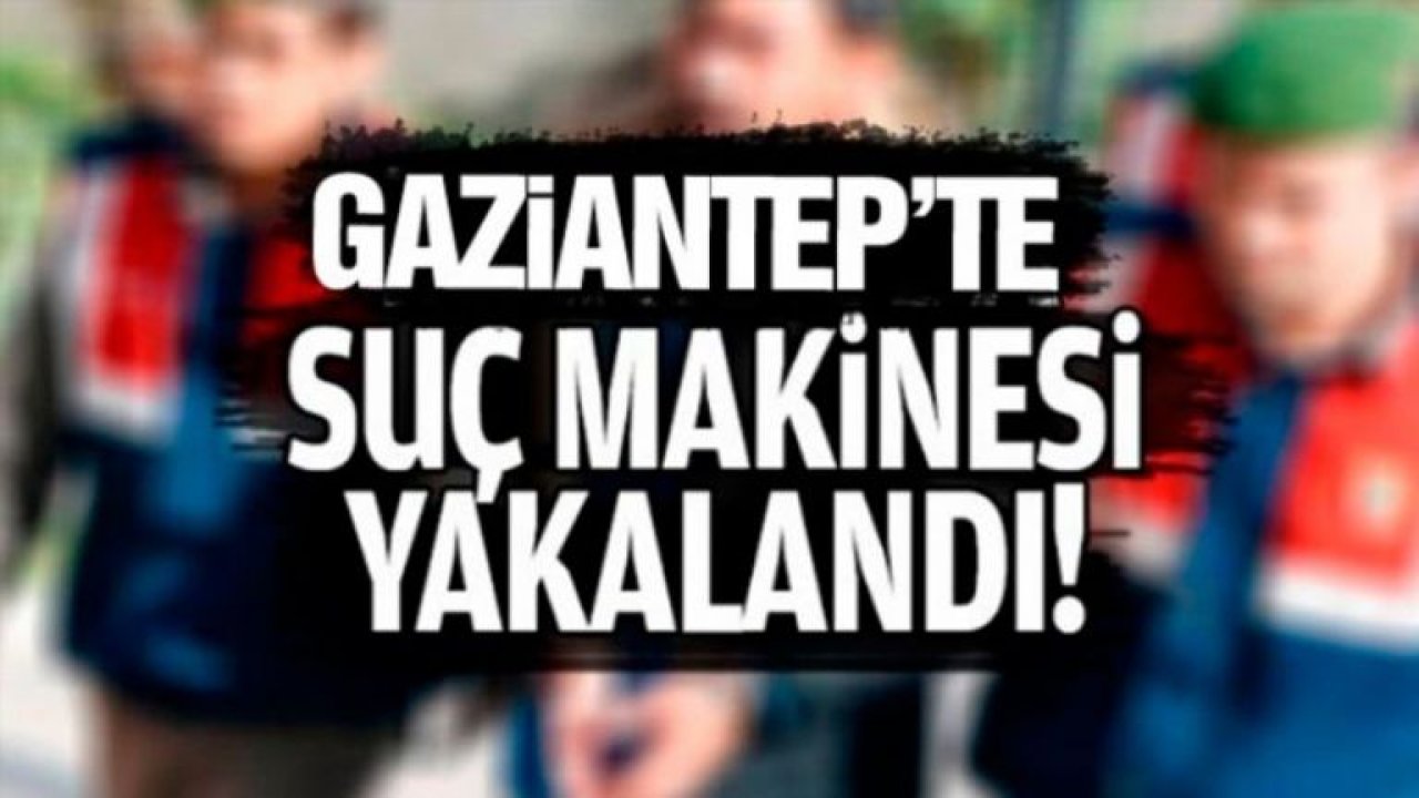 Suç makinası yakalandı