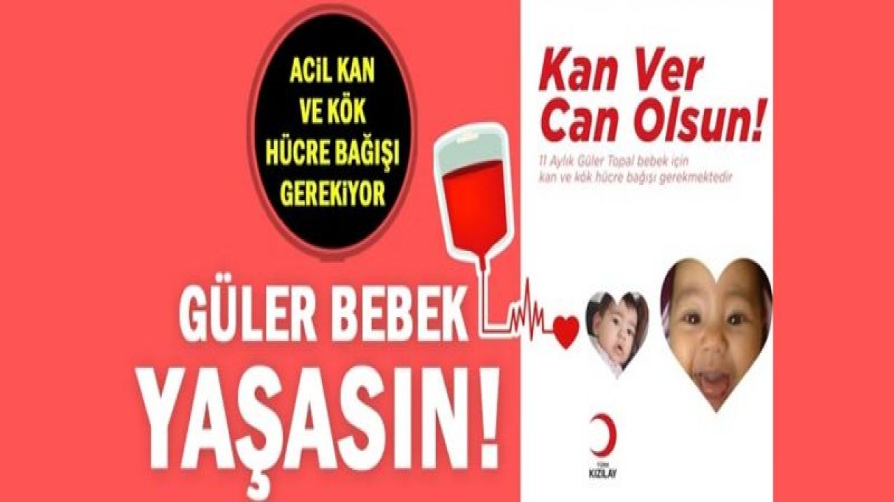 Güler bebek için acil kan ve kök hücre bağışı gerekiyor