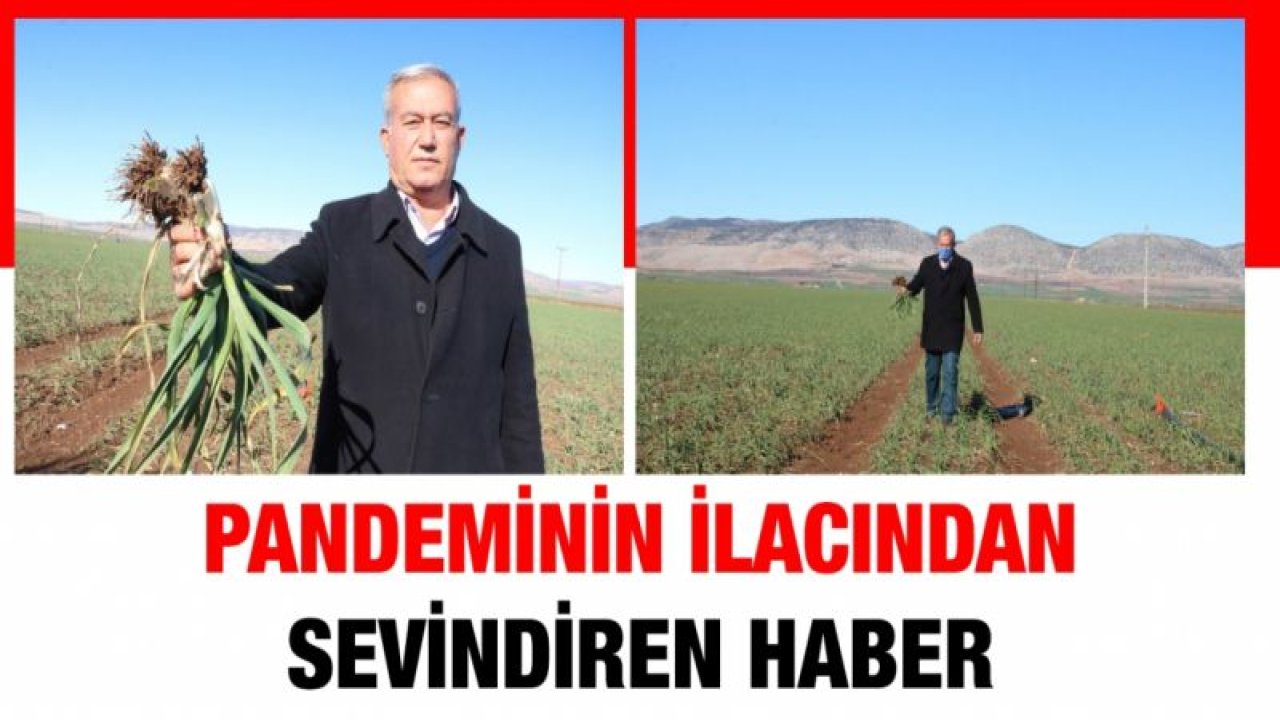 Pandeminin ilacından sevindiren haber