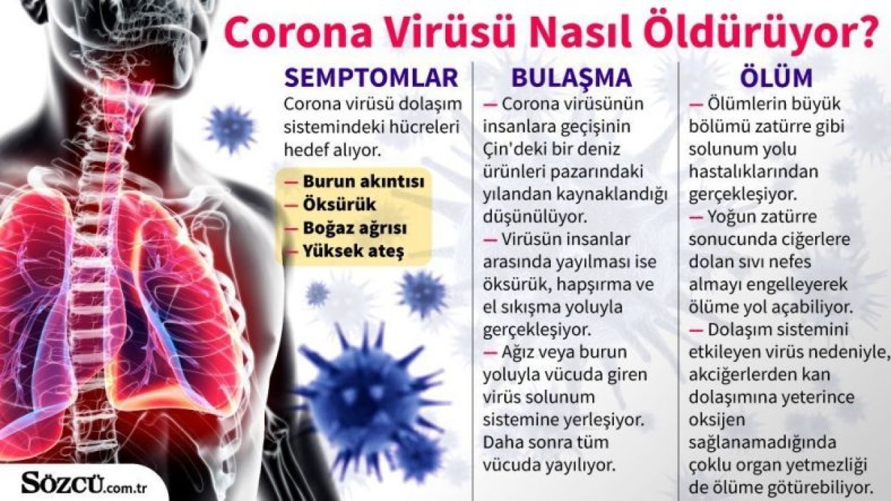 Dünya Sağlık Örgütü,DSÖ’den Corona açıklaması: Avrupa salgının merkezi haline geldi!