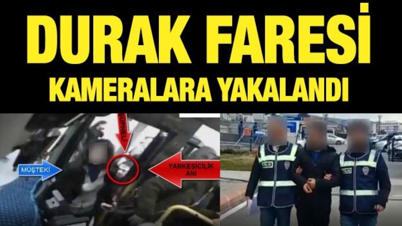 Durak faresi kameralara yakalandı