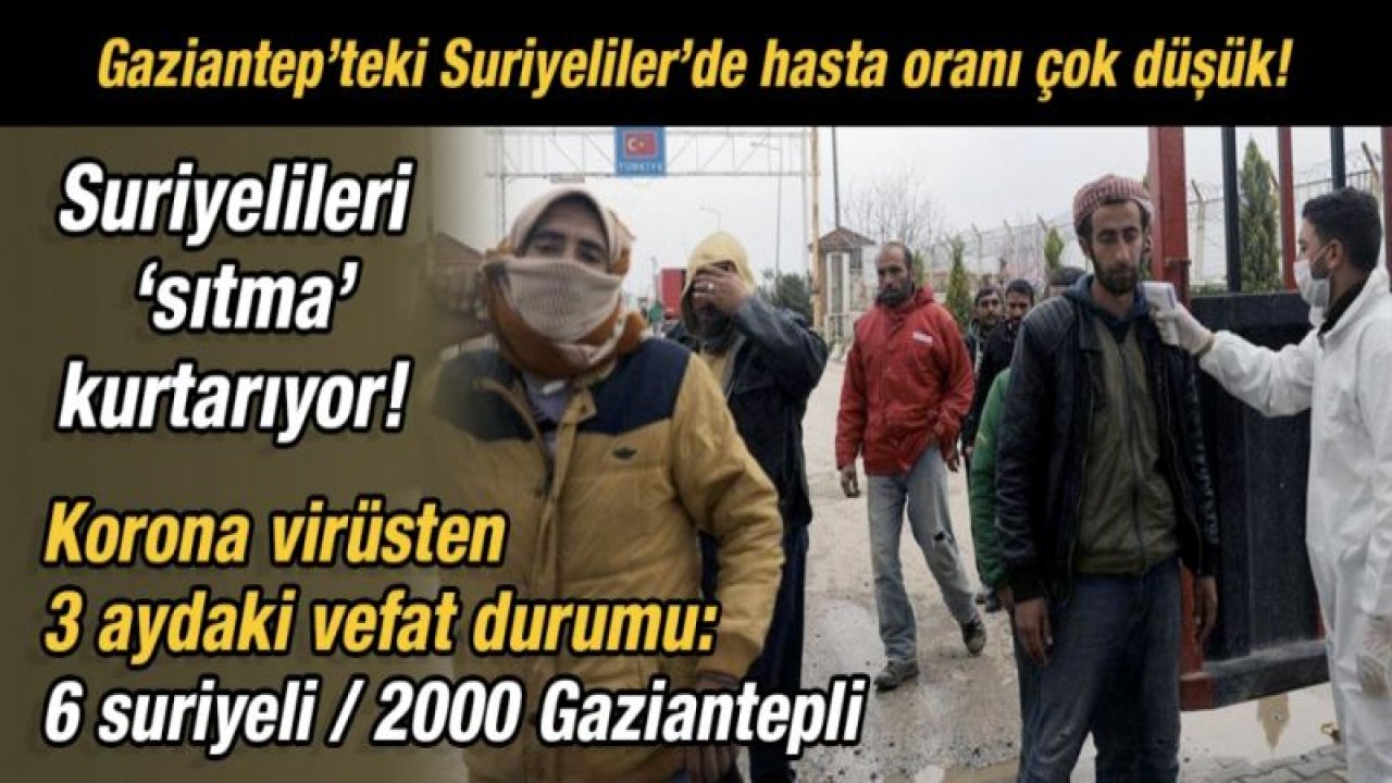 Suriyelileri ‘sıtma’ kurtarıyor!  Gaziantep’teki Suriyeliler’de hasta oranı çok düşük!  Korona virüsten 3 ayda 6 suriyeli / 2000 Gaziantepli vefat etti