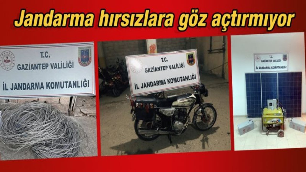 Jandarma hırsızlara göz açtırmıyor