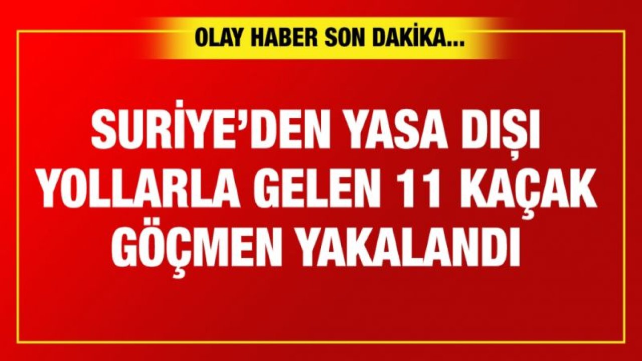 1 kaçak göçmen yakalandı