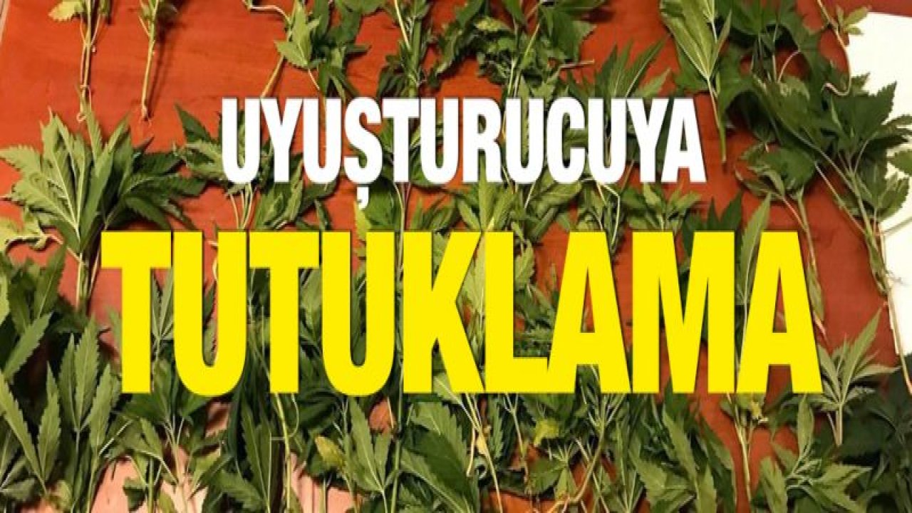 Gaziantep'te uyuşturucu operasyonu: 1 tutuklama