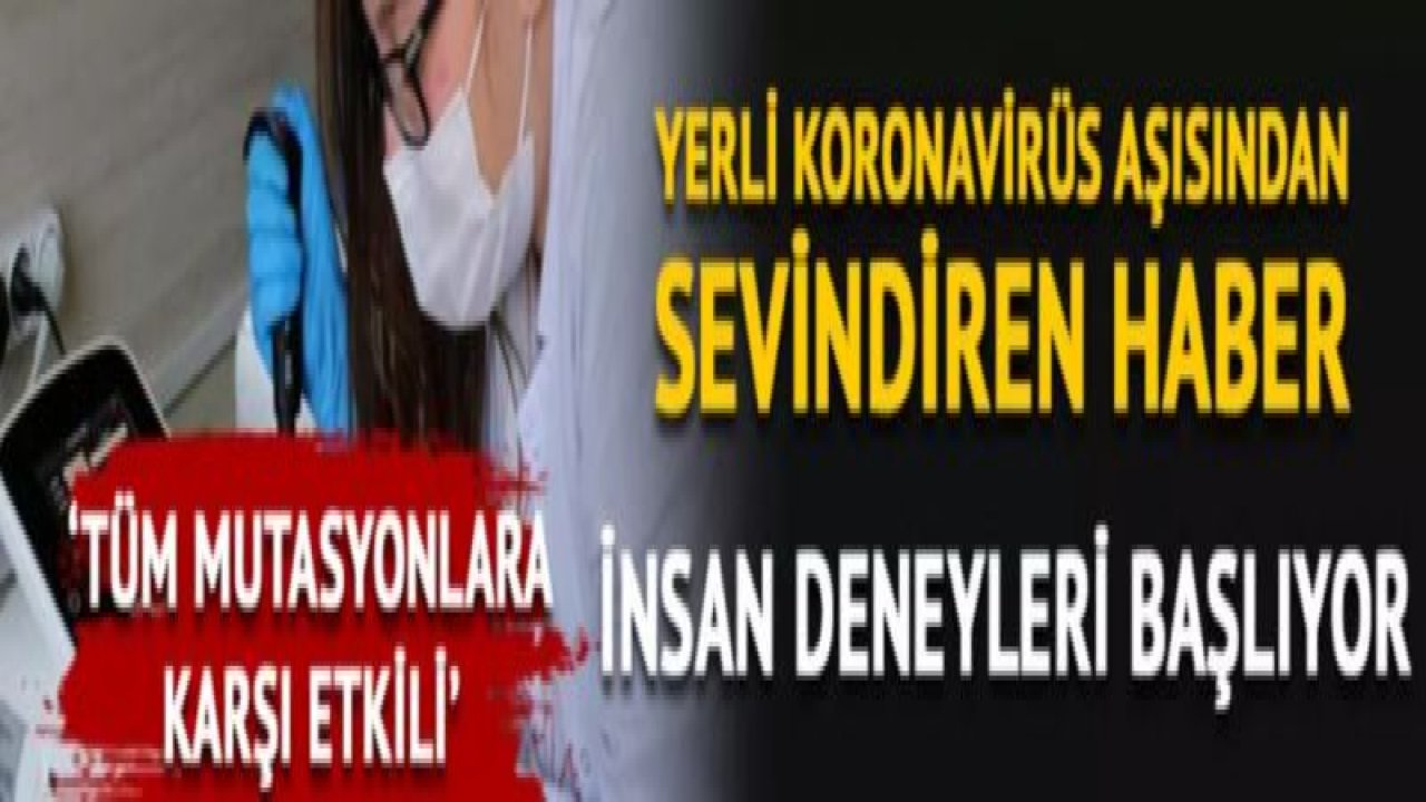 Yerli koronavirüs aşısından sevindiren haber! İnsan deneyleri başlıyor