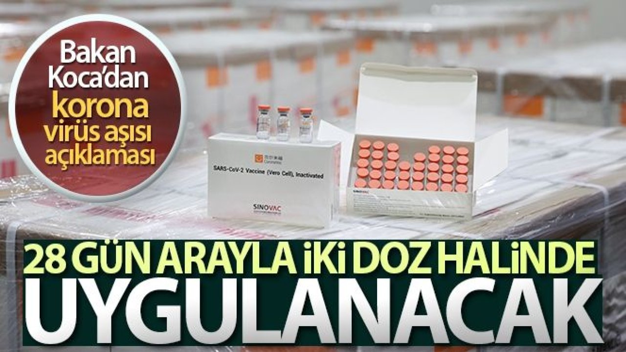 Bakan Koca: 'İnaktif aşının 28 gün arayla iki doz olarak yapılması uygun bulunmuştur'