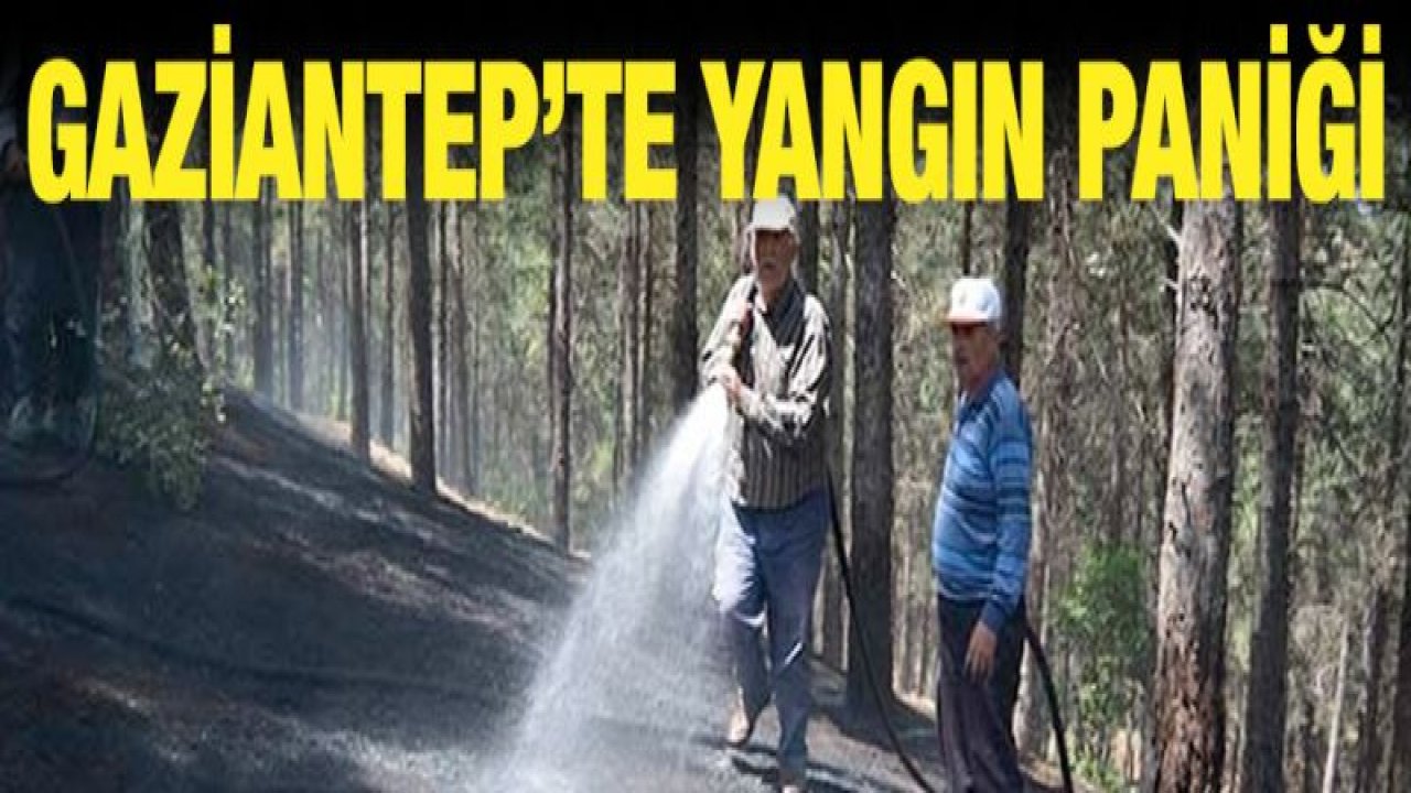 Gaziantep'te yangın korkuttu