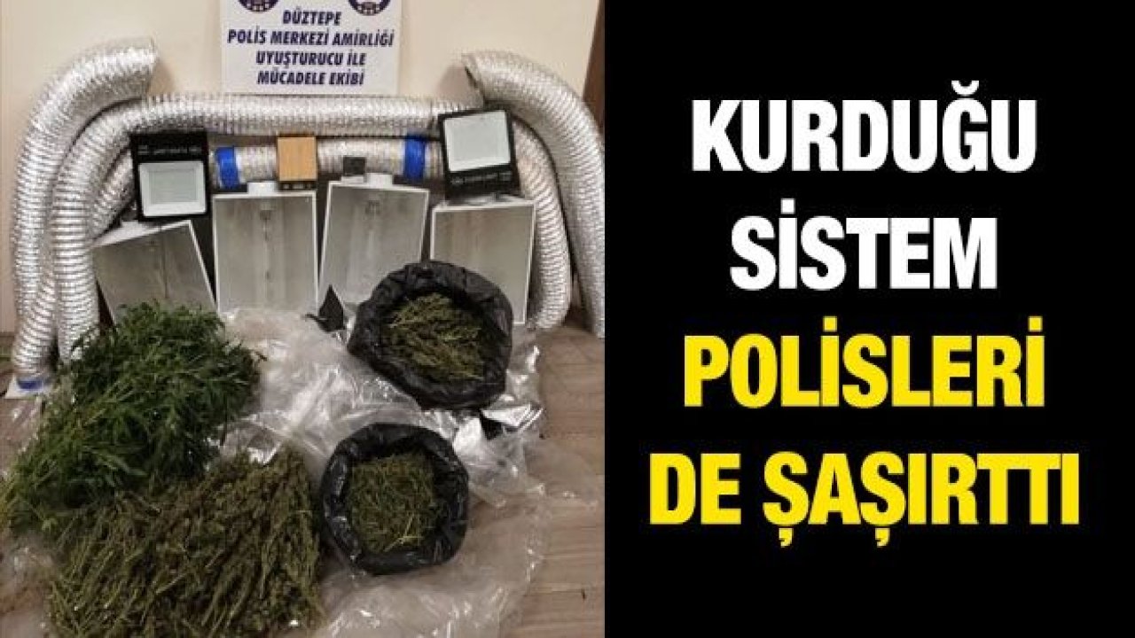 Esrar yetiştirmek için odaya kurduğu sistem polisleri de şaşırttı