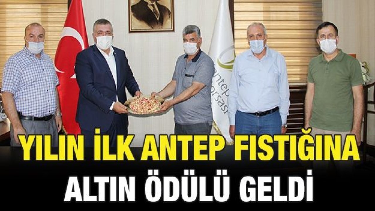 Yılın ilk antep fıstığına altın ödülü