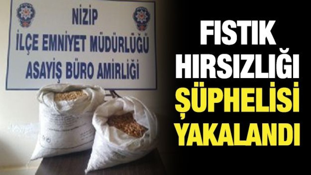 FISTIK HIRSIZLIĞI  ŞÜPHELİSİ  YAKALANDI