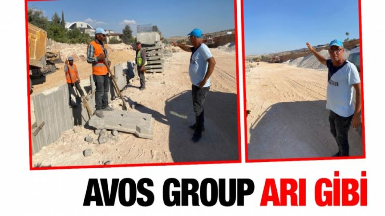 AVOS GROUP ARI GİBİ