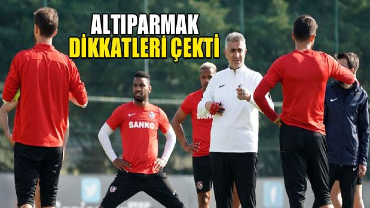 Altıparmak dikkatleri çekti