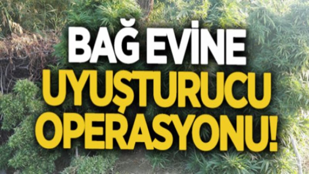 Bağ evine uyuşturucu operasyonu