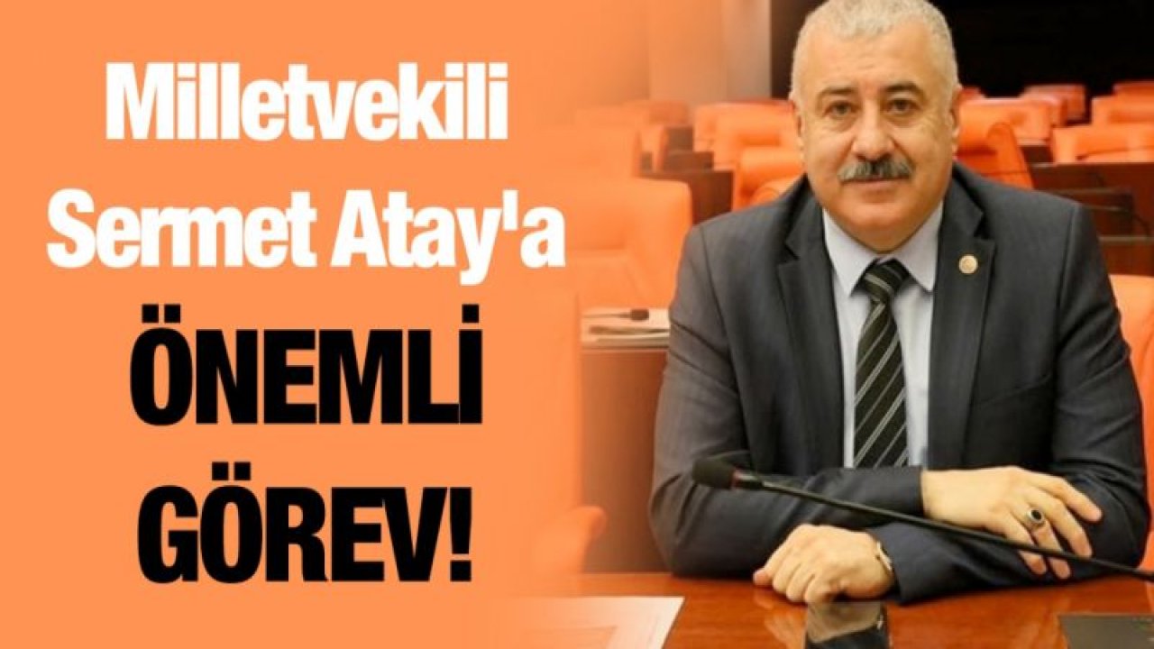 Sermet Atay'a önemli görev!