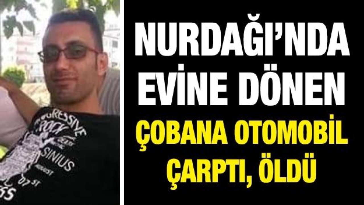 Evine dönen çobana otomobil çarptı