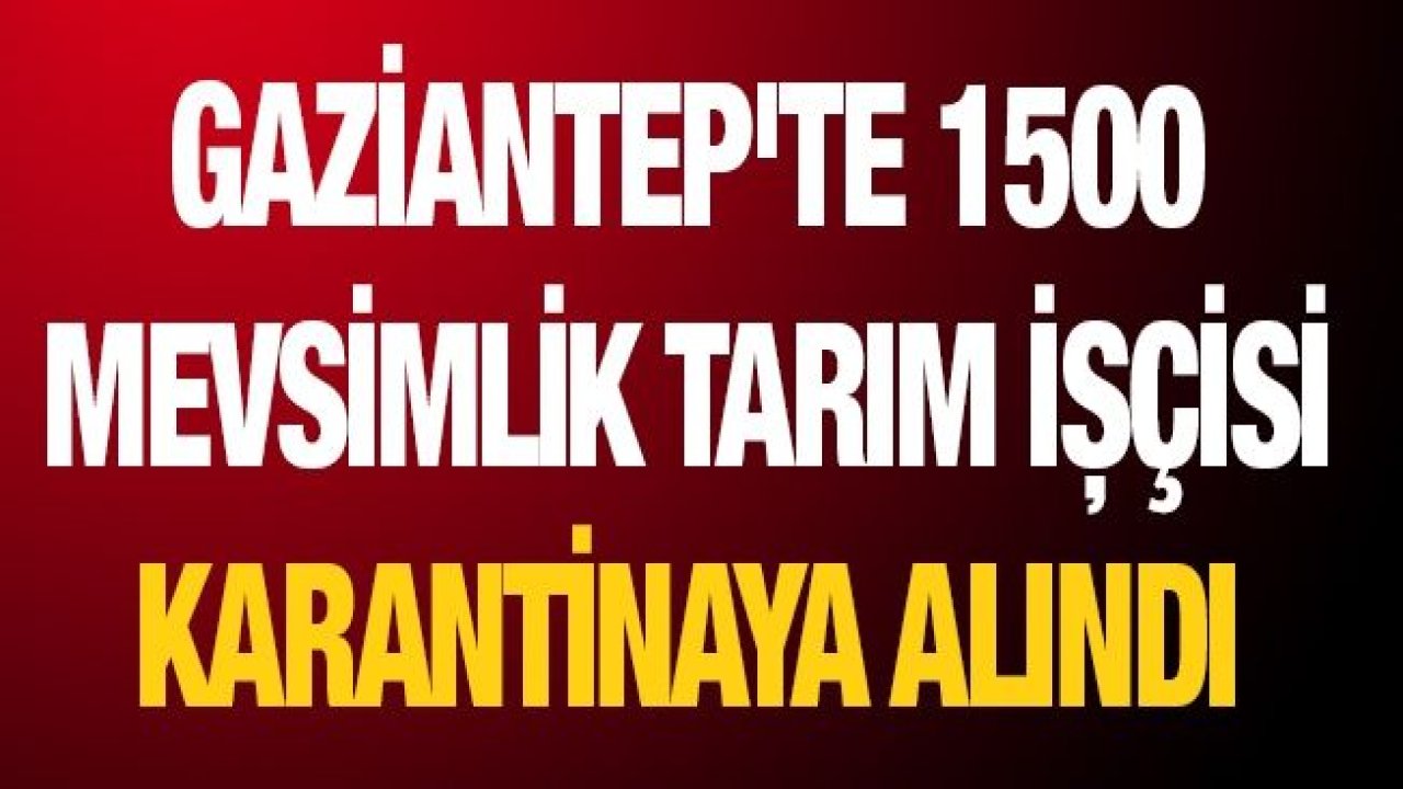 Gaziantep'te 1500 mevsimlik tarım işçisi karantinaya alındı