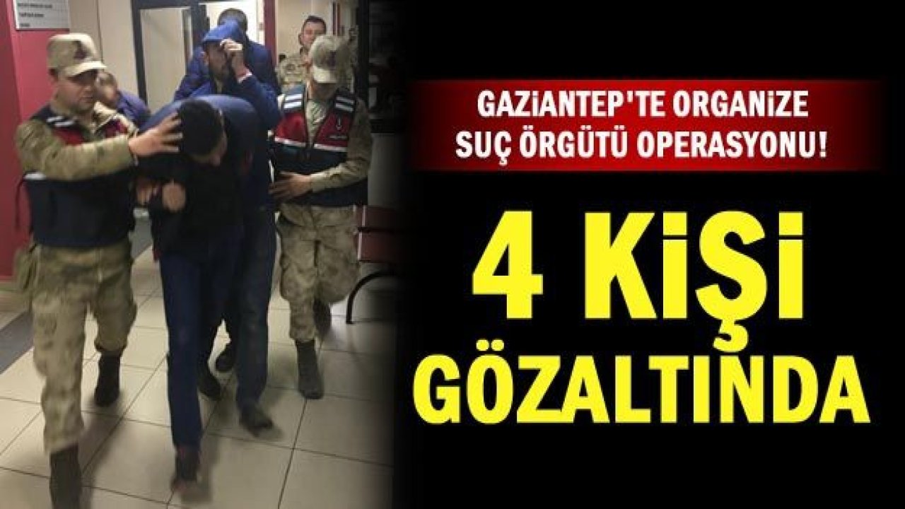 Gaziantep'te organize suç örgütü operasyonu! 4 gözaltı