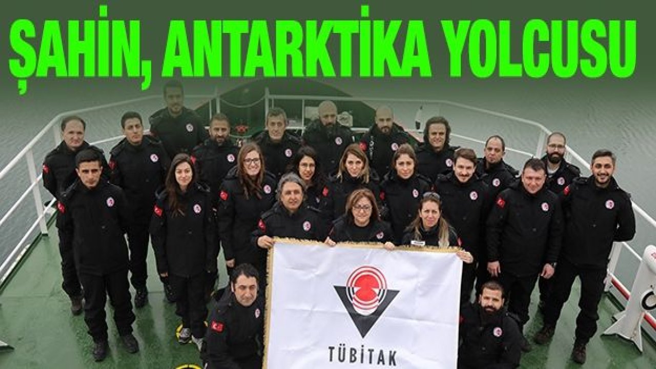 ŞAHİN, ANTARKTİKA YOLCUSU!