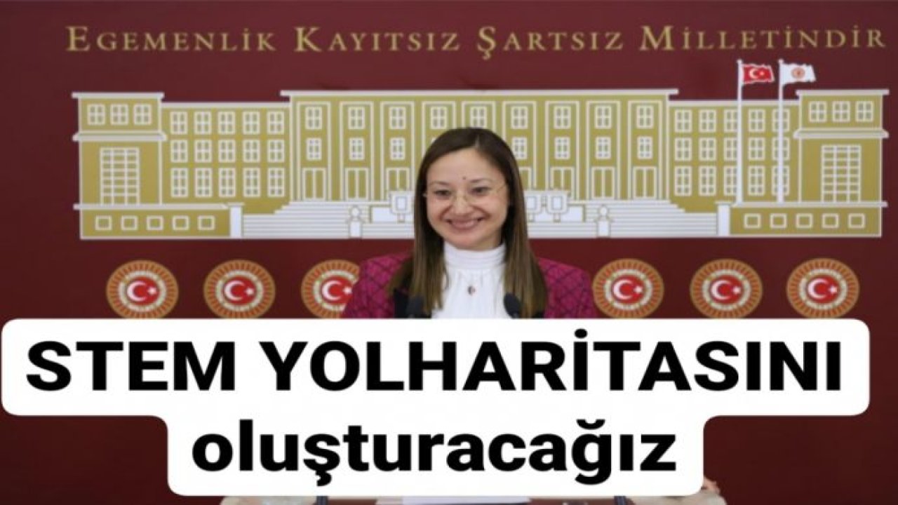 STEM YOL HARİTASINI oluşturacağız