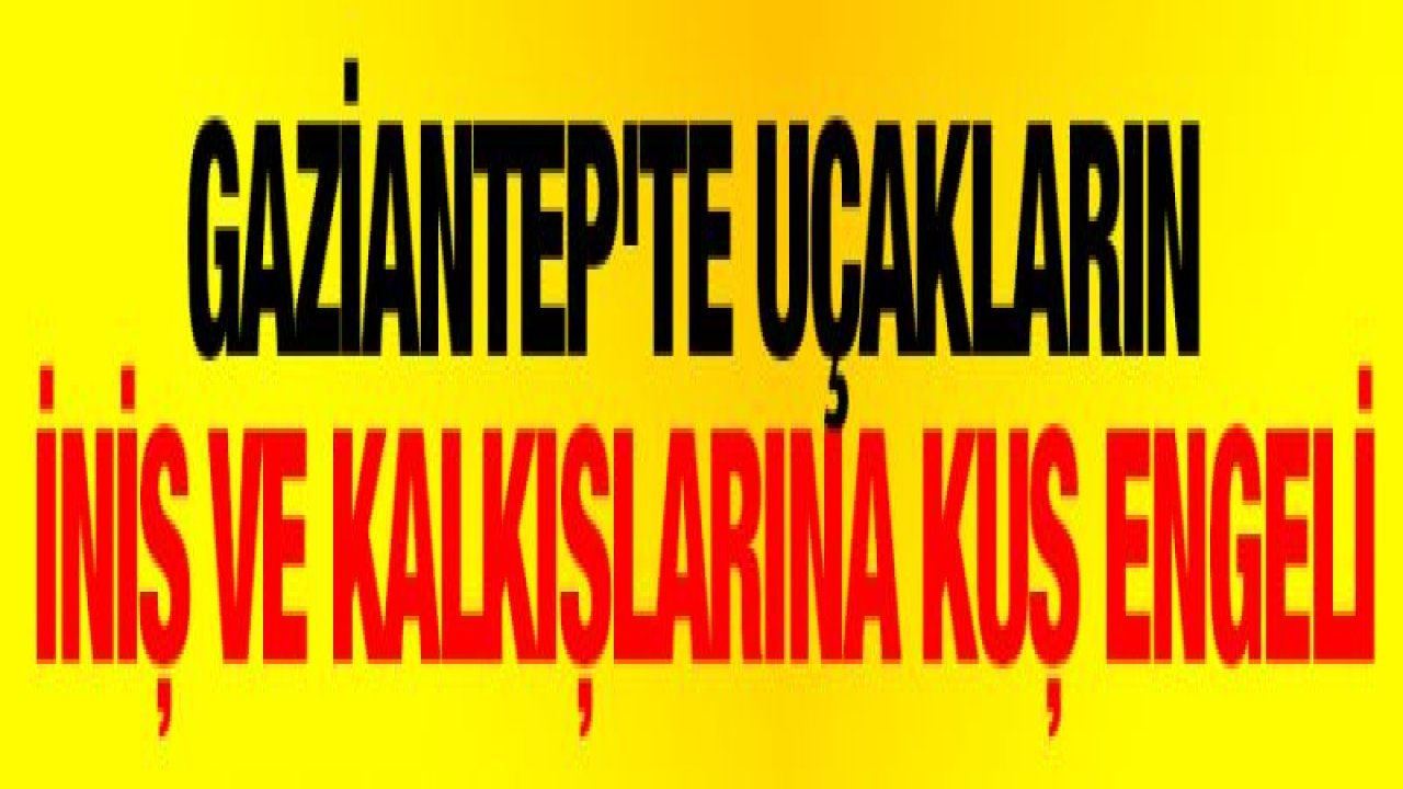 Gaziantep'te uçakların iniş ve kalkışlarına kuş engeli