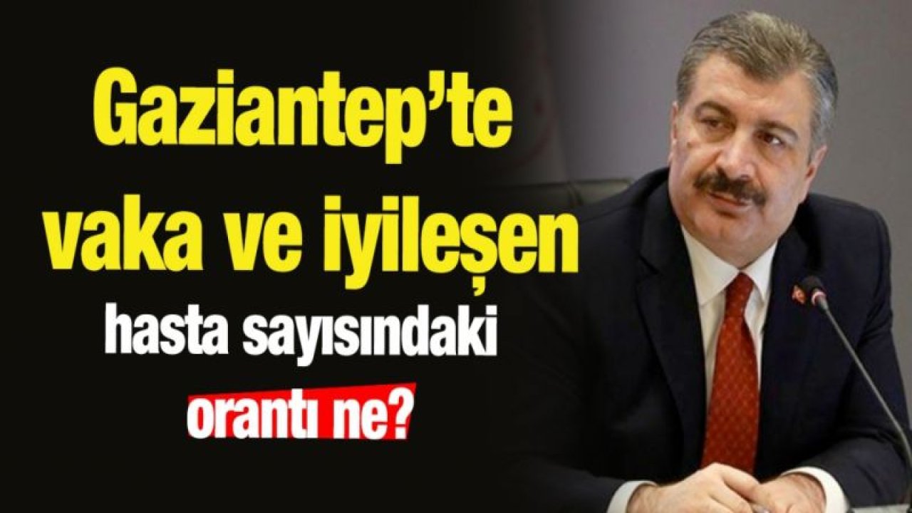 Gaziantep’te iyileşenler ve vaka yüzde oranları ne?