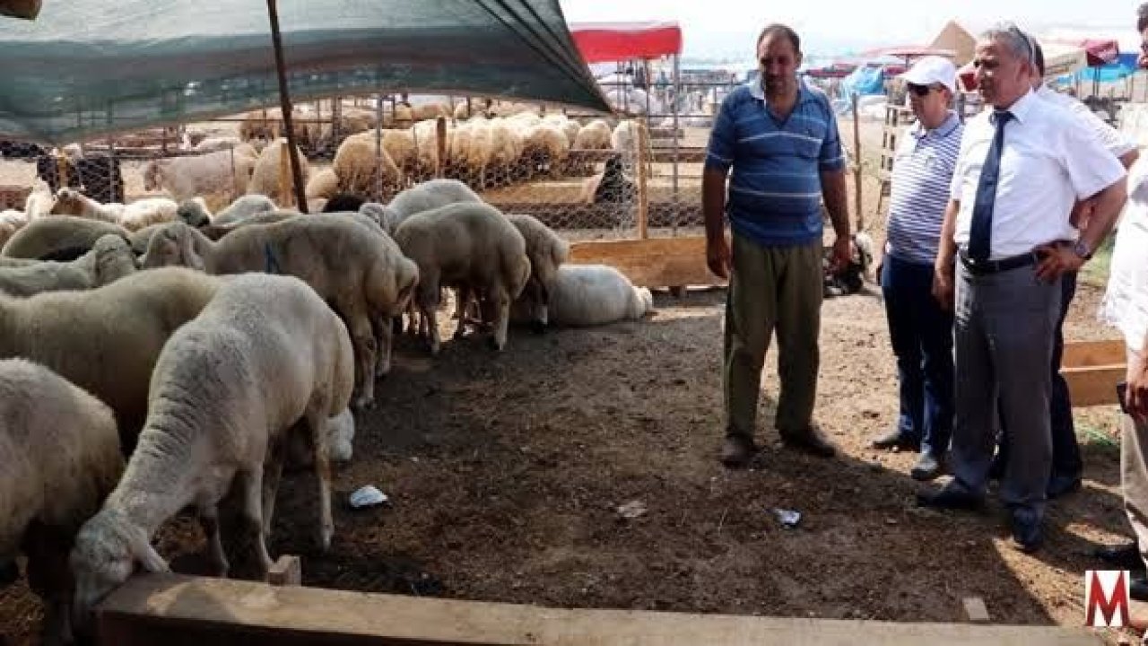 Gaziantep'te kurban pazarlarında yoğunluk yaşandı