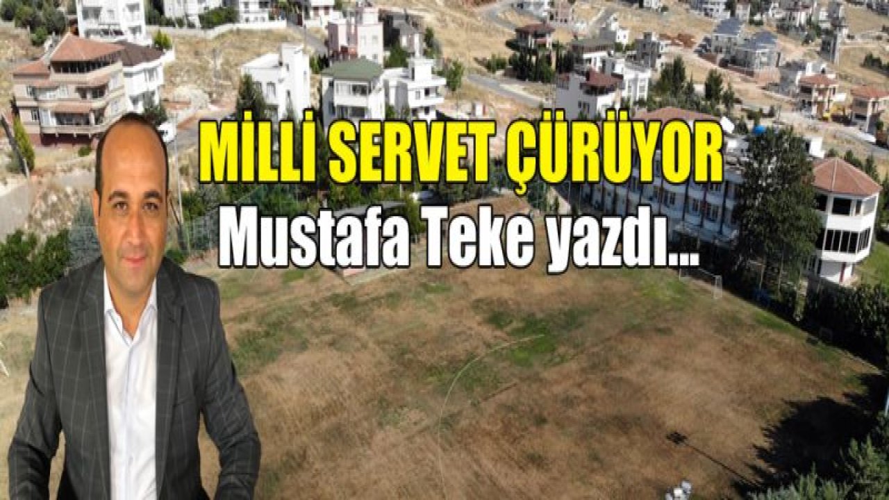 MİLLİ SERVET ÇÜRÜYOR!