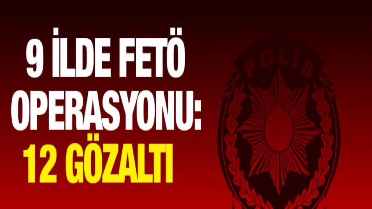 9 ilde FETÖ operasyonu: 12 gözaltı