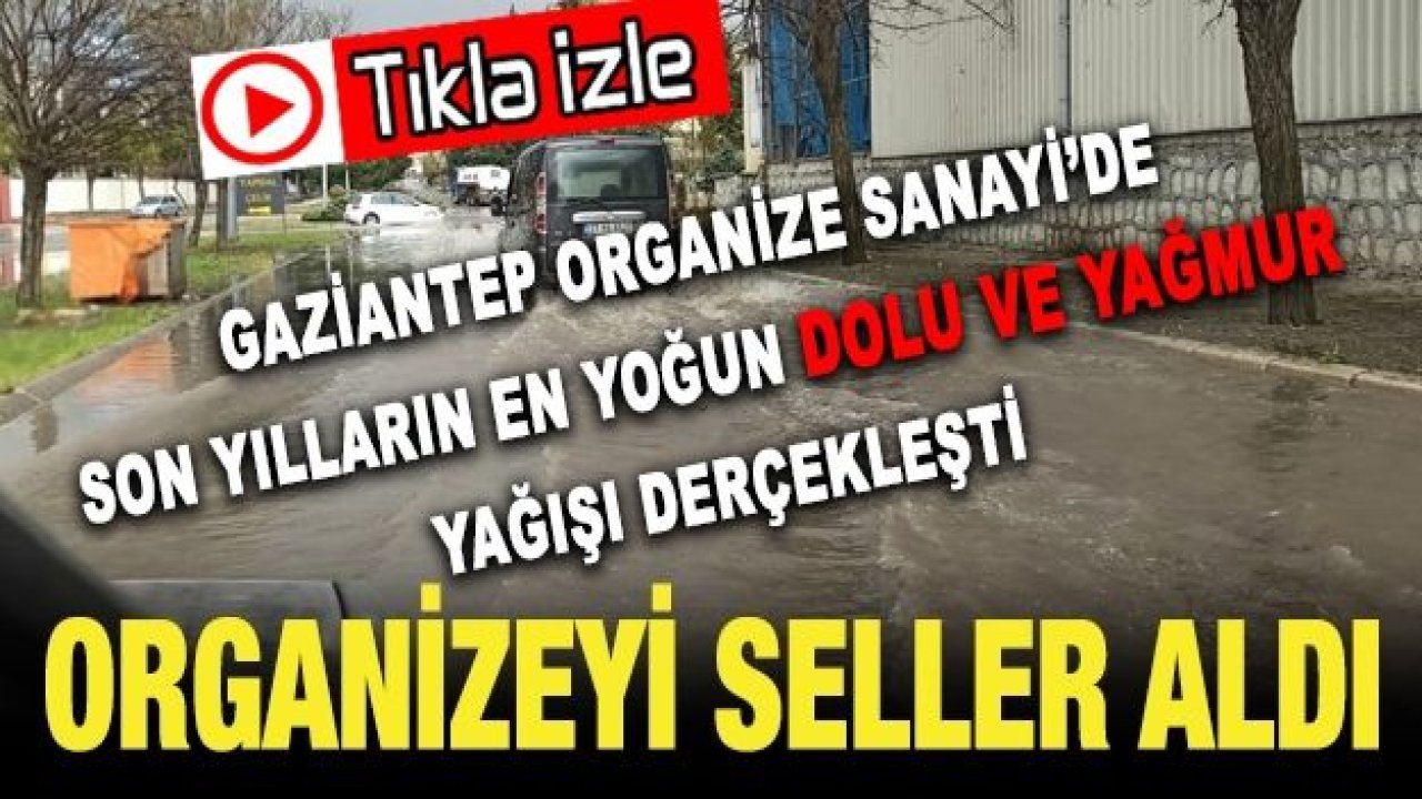 Gaziantep Organizeyi seller aldı