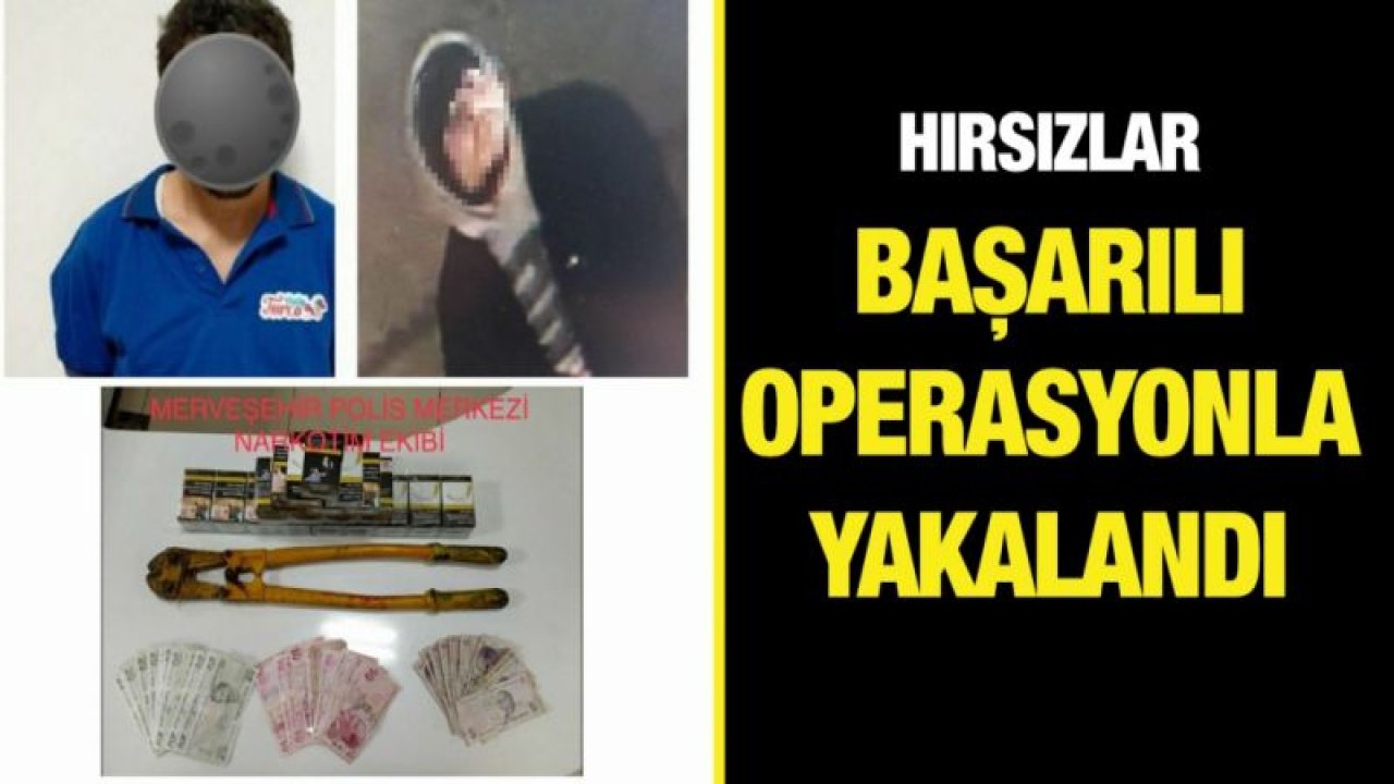 Hırsızlar başarılı operasyonla yakalandı