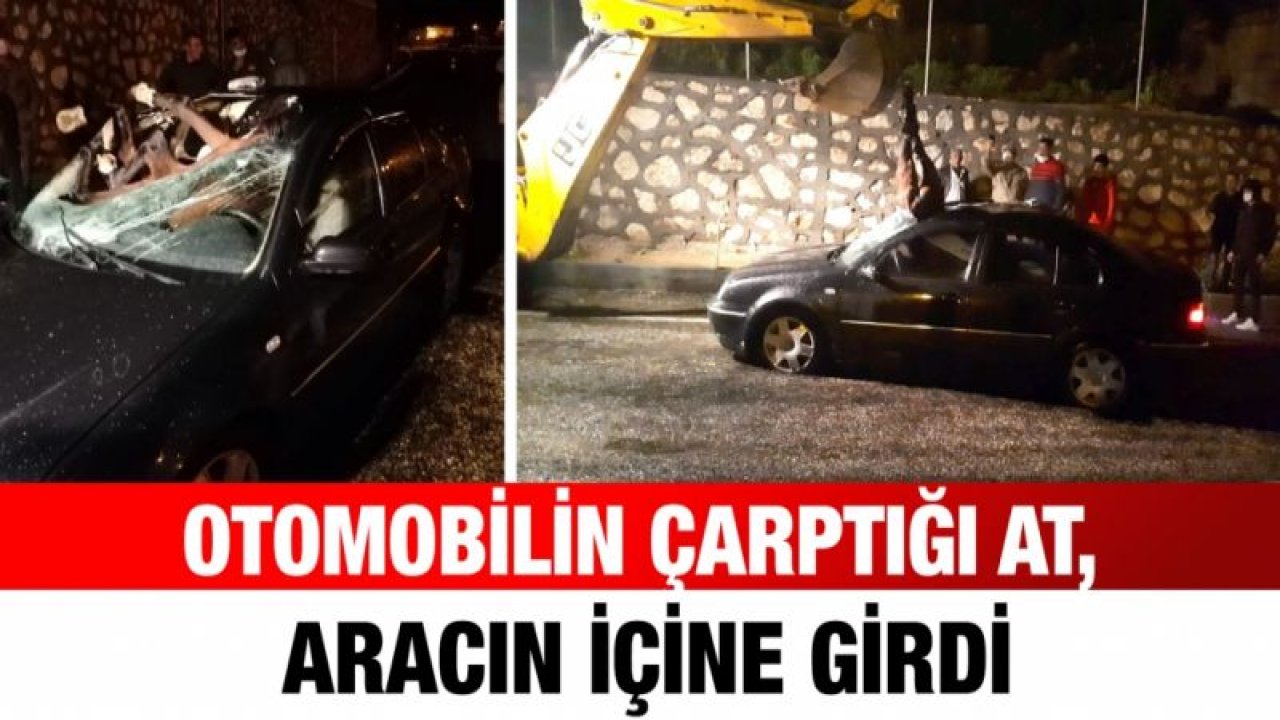 Otomobilin çarptığı at, aracın içine girdi