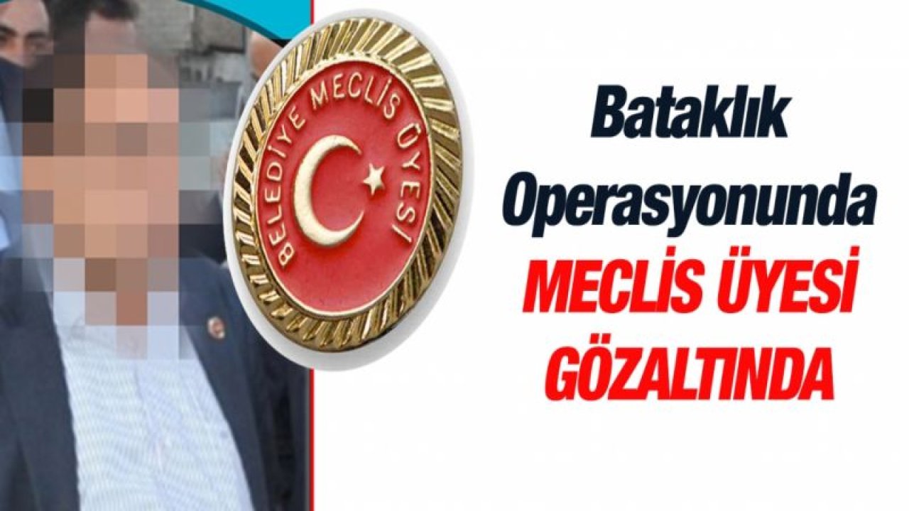 Bataklık Operasyonunda meclis üyesi gözaltında